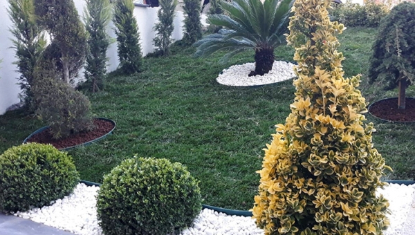 Esenler Peyzaj Bahçe Düzenleme | Apartman ve Site Peyzaj