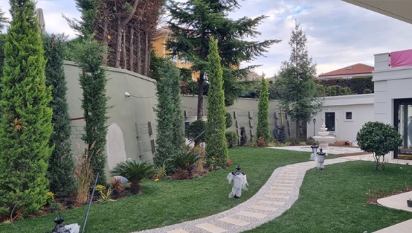 Fatih Peyzaj Bahçe Düzenleme | Apartman ve Ticari Alan Peyzaj 